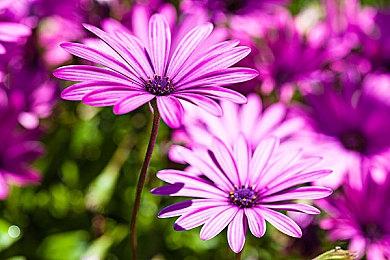 《地狱之刃2：塞娜的献祭》将明年重启开发日志