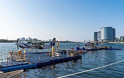 《少年佐罗：英雄诞生记》新预告 6月全平台发售